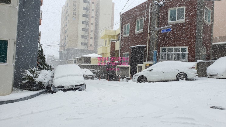  제주도 폭설 231222