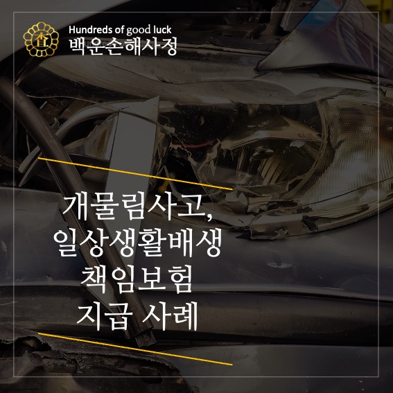  개물림사고, 일상생활배상책임보험 배상금 지급 사례