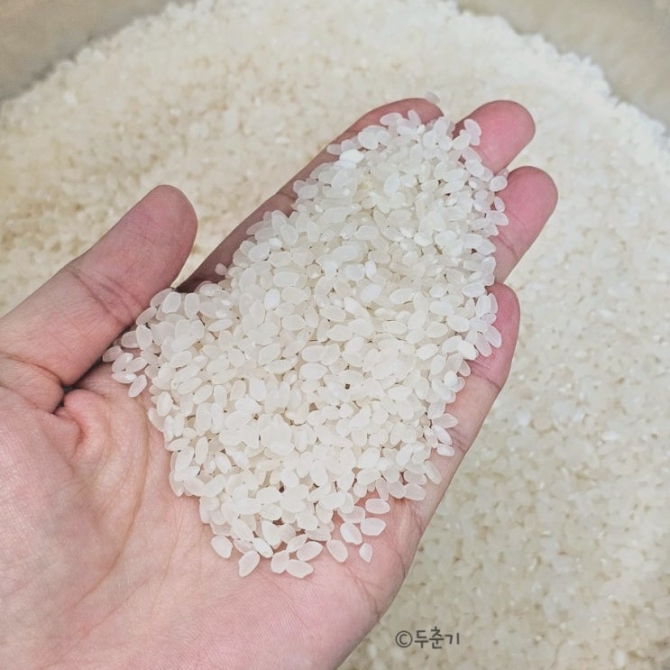  겨울철 쌀씻기 손시리지 않게 쌀 세척하는 방법