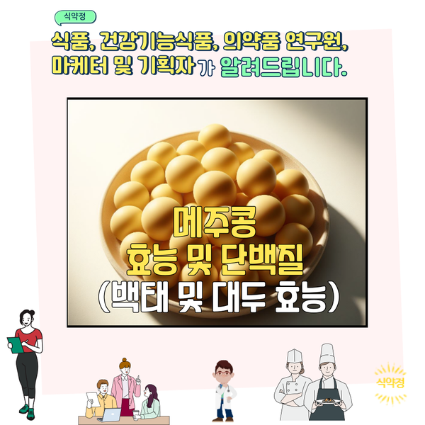 메주콩 효능 및 단백질 (백태 및 대두 효능)