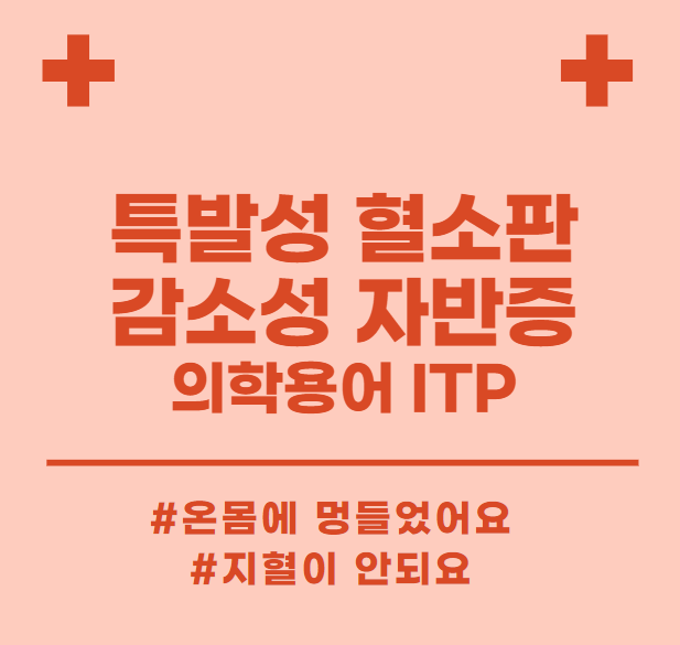 의학용어 ITP 특발성 혈소판 감소성 자반증 치료
