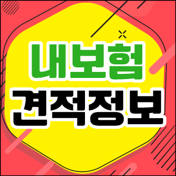  보험가입 내역 및 내보험 한눈에 및 보험가입 증명서 손쉽게 확인하는 방법