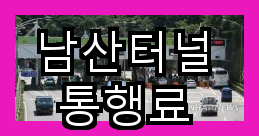 지속적인 탄소 저감을 위한 <b>남산터널</b> 통행료 혜택