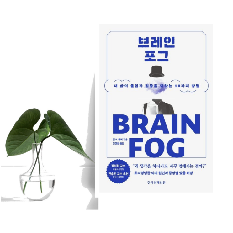  [자기계발] 브레인포그 (질 P. 웨버 / 한국경제신문) 내 삶의 몰입과 집중을 되찾는 10가지 방법