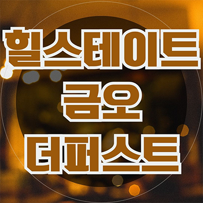  힐스테이트 금오 더퍼스트 미분양 1구역 재개발 줍줍 의정부 금오동 현대건설 줍줍 잔여세대 분양가격