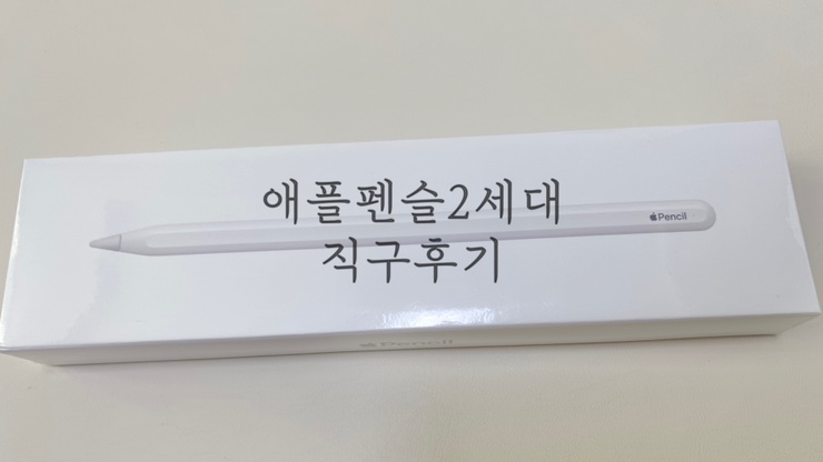 [내돈 내산]애플펜슬2 미국 직구 후기 대만족!!