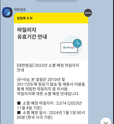  실망스러웠던 항공사 소멸 마일리지 활용 후기