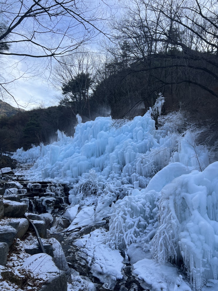  대구 비슬산 얼음동산, 가족 나들이[비슬산 자연휴양림]