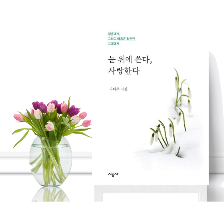  [에세이] 눈 위에 쓴다, 사랑한다 (나태주 / 시공사) 나태주 시집