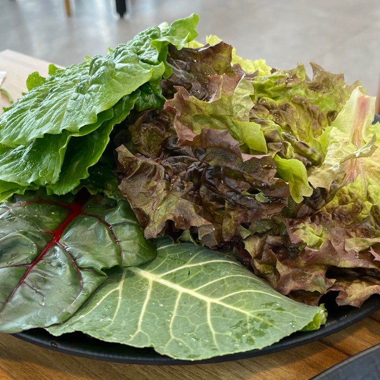 용인 맛집 | 쌈 채소 무한리필 점심식사하기 좋은 구성역 쌈밥집 &ldquo;쌈사랑&rdquo;