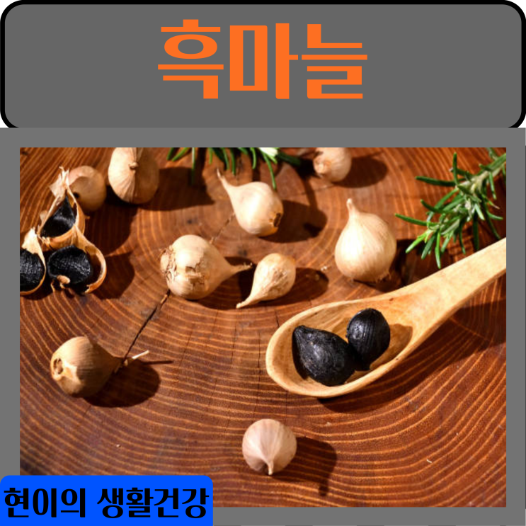 흑마늘 효능 부작용 보관법 영양성분 (마늘 칼로리)