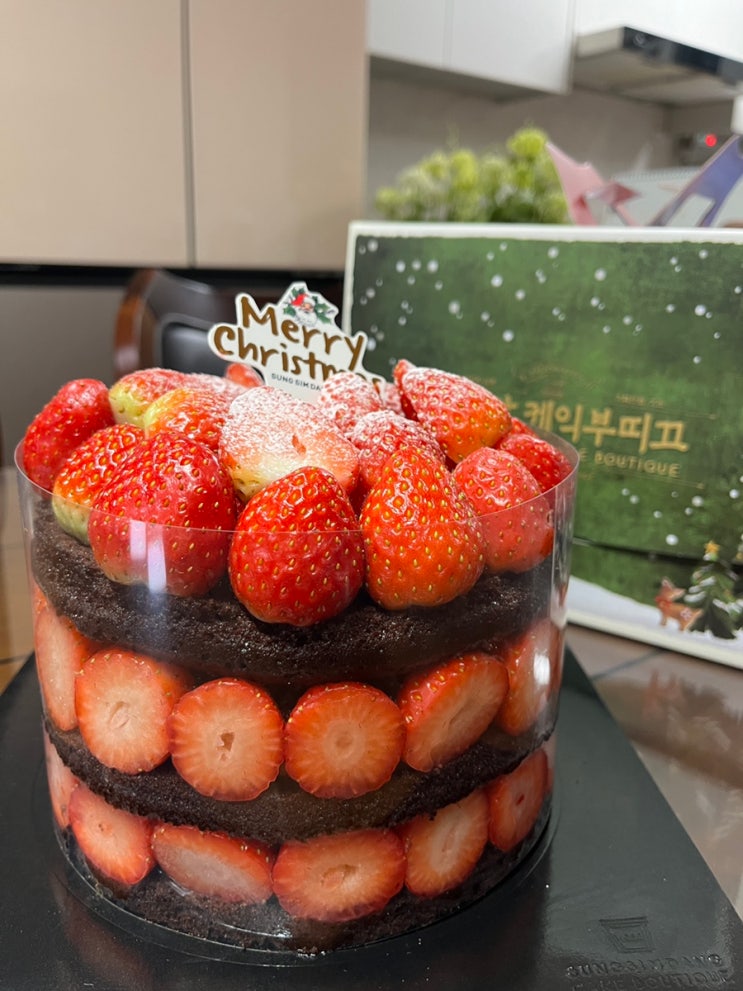  성심당 크리스마스 한정 케이크 딸기시루 오픈런 후기 꿀팁 공유