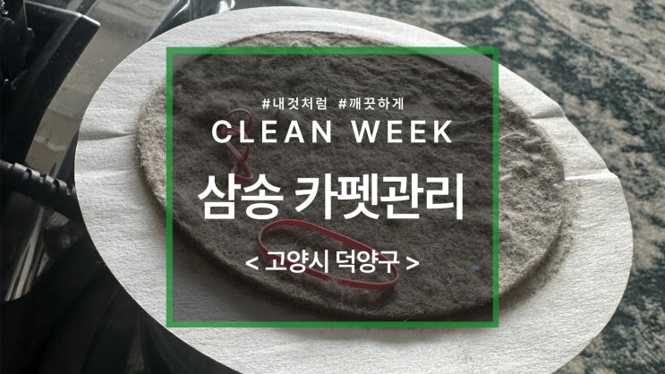  삼송 카페트 세탁, 청소를 해야 하는 이유
