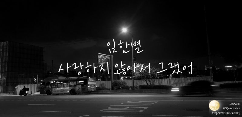 사랑하지 않아서 그랬어 - 임한별. 늦은밤 음악감상&가사적기.