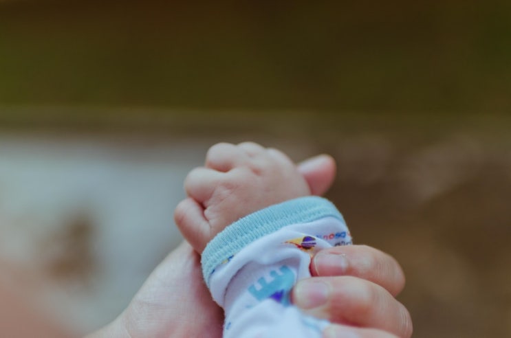 나의 꿈 부자 할머니 - 육아에 대한 두려움과 역행자의 지식