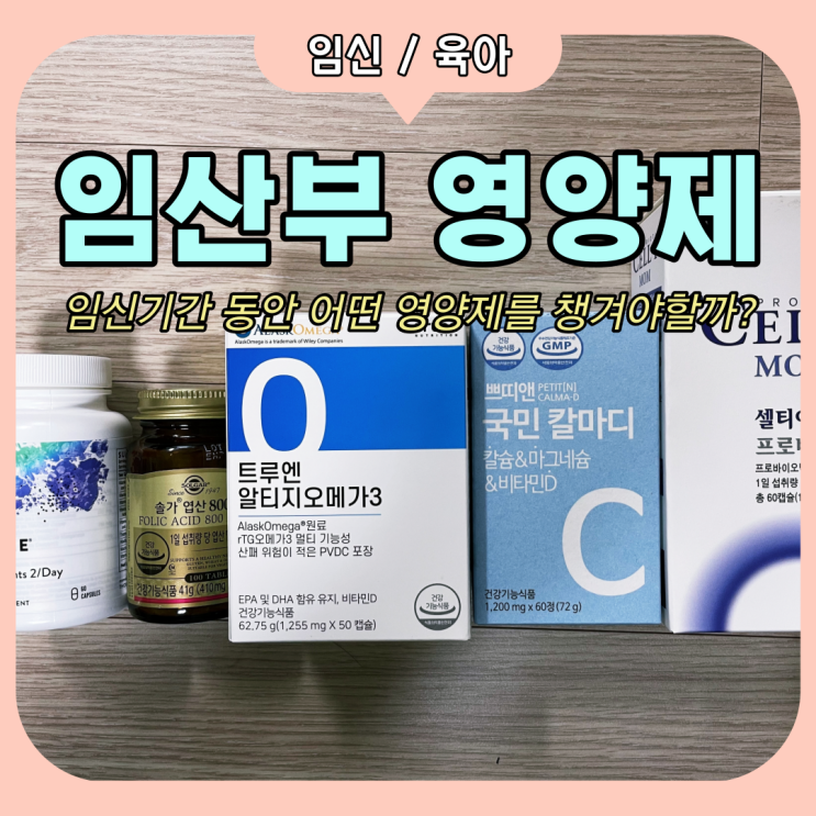 (예비아빠의 내돈내산) 32주차 아내가 먹고 있는 임산부 영양제 정리 (예비아빠의 내돈내산) 32주차 아내가 먹고 있는 임산부 영양제 정리