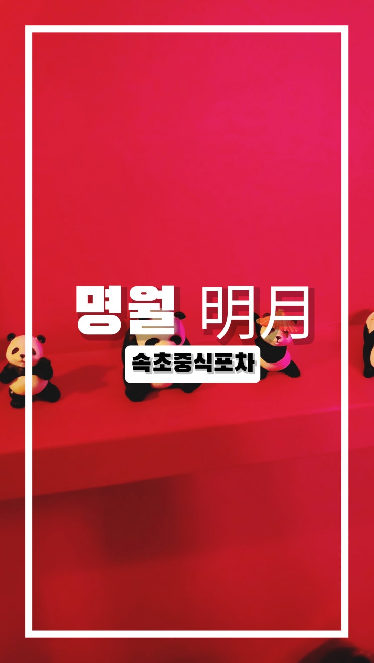  트렌디한 속초 중식포차 명월