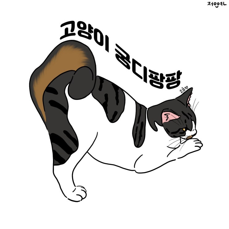  고양이 궁디팡팡 계속해줘도 되나요?