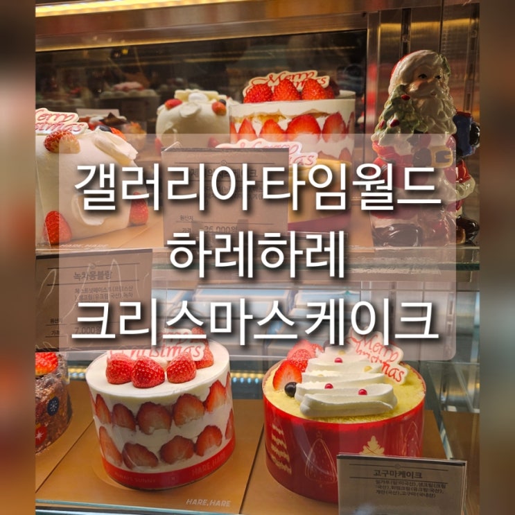  [대전] 갤러리아 타임월드 하레하레 크리스마스 고구마케이크 내돈내산 구매 후기