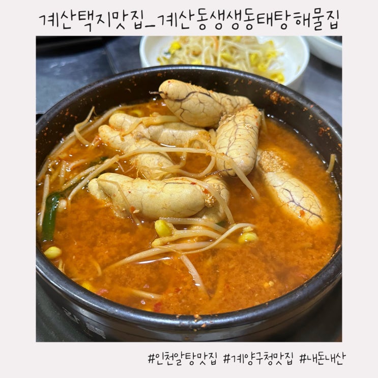  계산택지 맛집 :: 10년째 단골 인천 알탕 맛집 [계산동생생동태탕해물집]