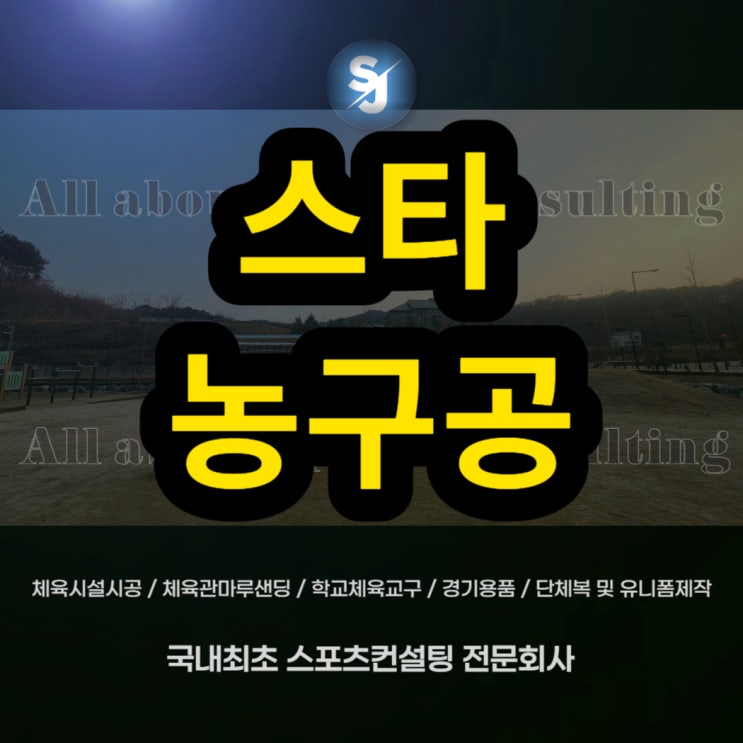  스타농구공뉴점보칼라 화성 D스포츠센터농구공가격