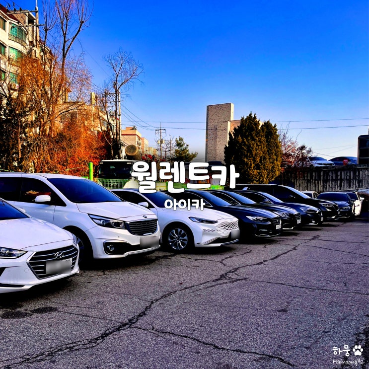  월렌트카 렌트가격 비교 및 최저가 할인정보는? 아이카!