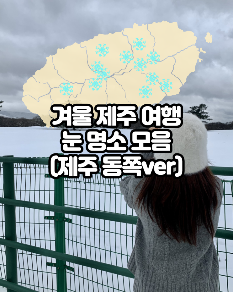  제주 겨울 가볼만한곳 1월 여행코스 제주도 동쪽 눈 명소 관광지 best8