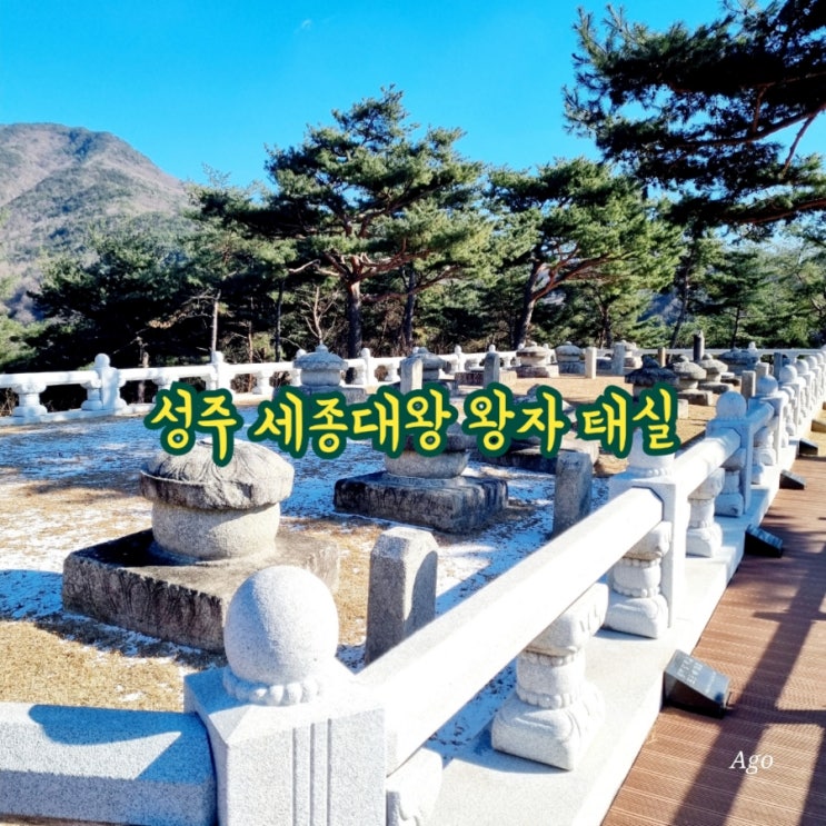  성주가볼만한곳 세종대왕 왕자 태실