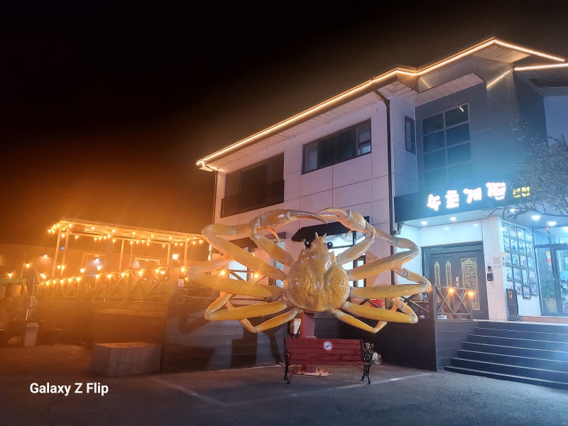 속초게찜, 티비에서도 인정한 대게의 명가!