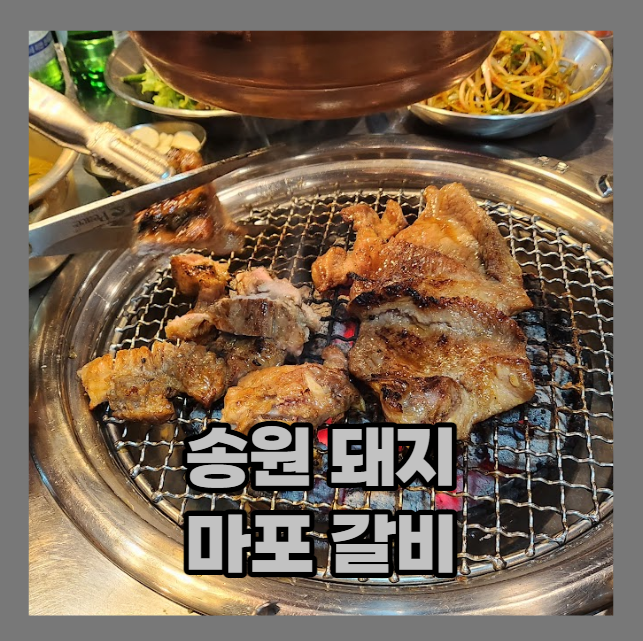 (내돈내산) 문래에서 돼지갈비로 유명한 음식점 - 송원 마포 돼지갈비 리뷰