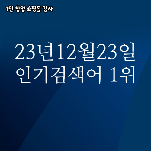  2023년 12월 23일 네이버쇼핑 분야별 인기 검색어 1위
