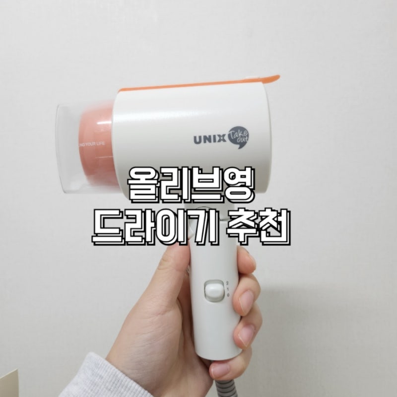 올리브영 여행용 유닉스 미니 드라이기 추천