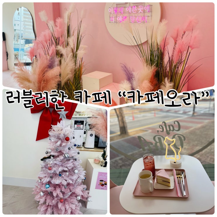  핑크핑크 러블리한 포토존이 있는 원주단구동카페 "카페오라"
