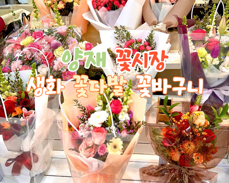  양재꽃시장 생화 생일 졸업식 입학식 국화꽃 꽃다발 꽃바구니 구입 영업시간 주차요금