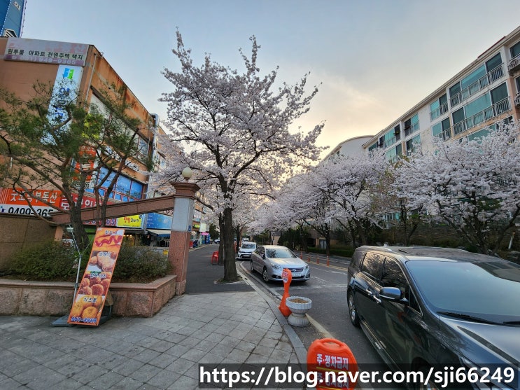  파주 탄현면 법흥리 통일동산 유승앙브와즈2단지 32평 월세 1000/90만 개방감 좋고 채광 좋은 깔끔한 전원형 아파트 임대