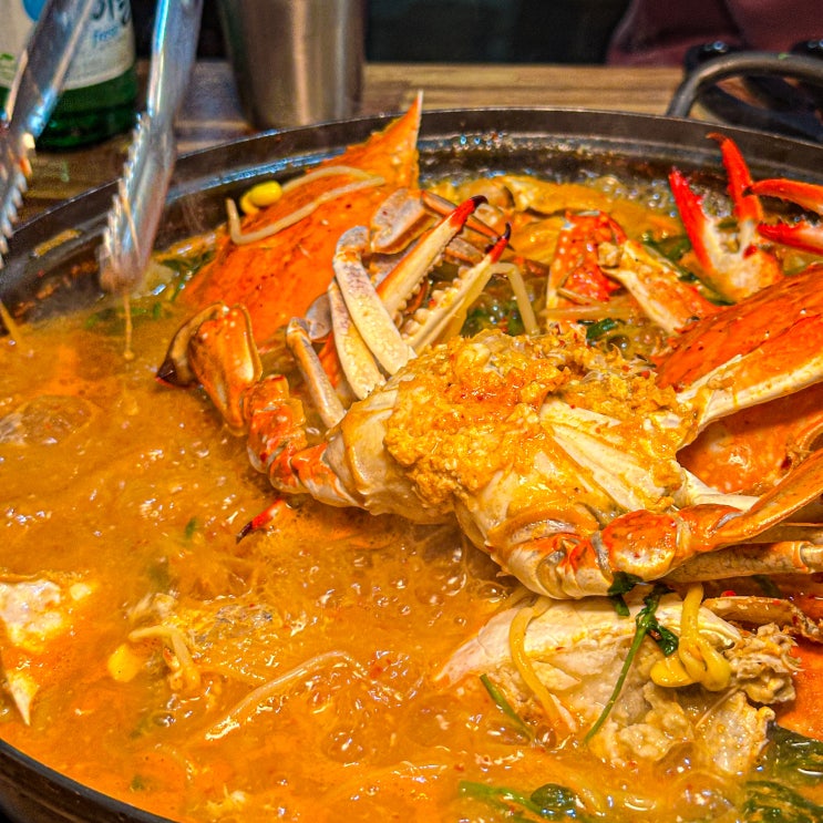  광주 금호동 꼭 가야할 맛집 쭈사장 본점 꽃게탕 찐후기