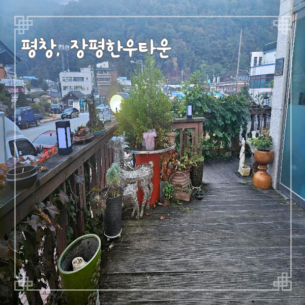  강원도 여행 평창 대화면 장평한우타운 장평시외버스터미널 근처 소고기 맛집