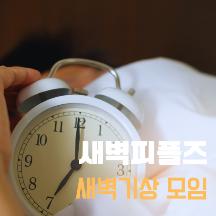  블로그 커뮤니티모임 새벽피플즈에서 같이 새벽기상으로 성공해요!