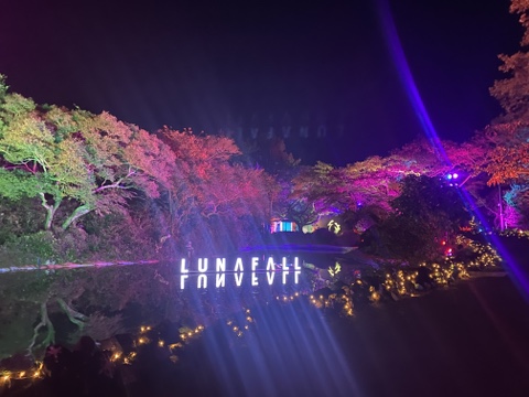  [제주도 루나폴] 제주도 야간 명소 추천