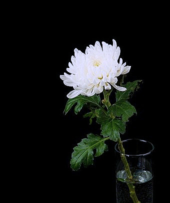 <b>세종시</b> 조치원읍 죽림리 <b>목욕탕</b>(사우나)서 입욕객 3명 <b>감전</b>... 