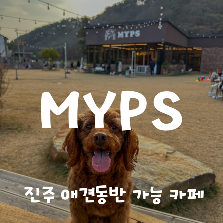 [경남 진주 애견동반가능 카페/ 운동장 ] MYPS