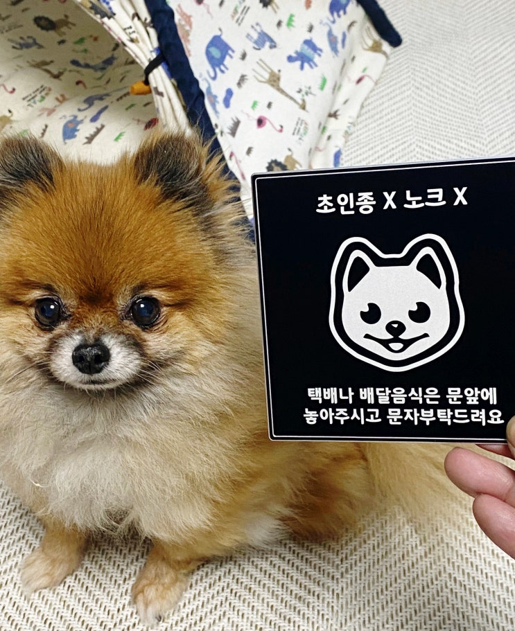  강아지문패제작, 반려견을위해서, 사람들을위해서...