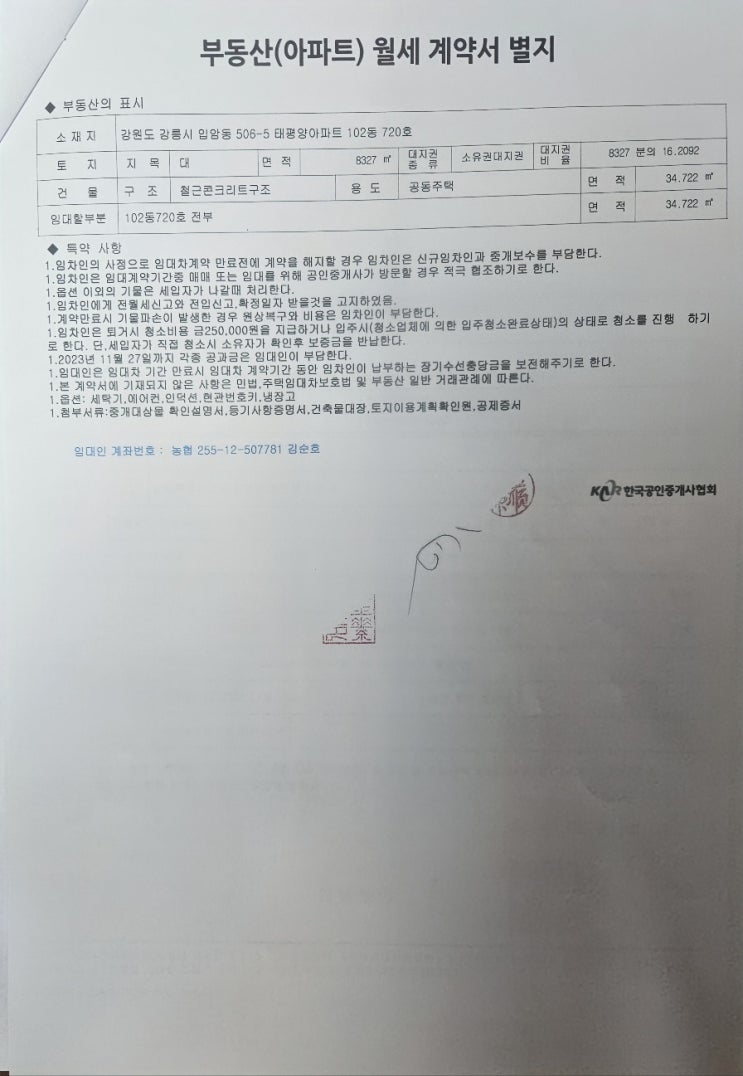  일흔넘어 강릉에 홀로 남겨졌다.