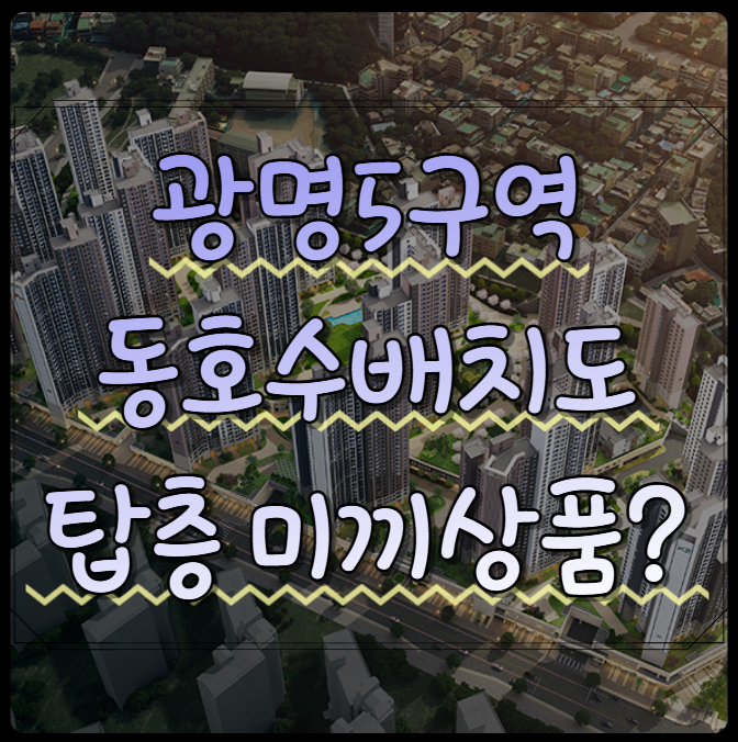  광명5구역 동호수배치도, 탑층 미끼상품?