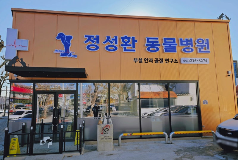 청주 정성환동물병원 강아지 쓸개골탈구 진료후기