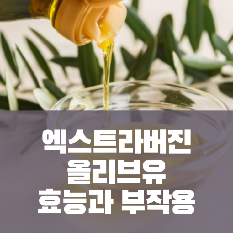  엑스트라버진 올리브유 효능 부작용 올리브유 칼로리 섭취량 섭취방법 추천