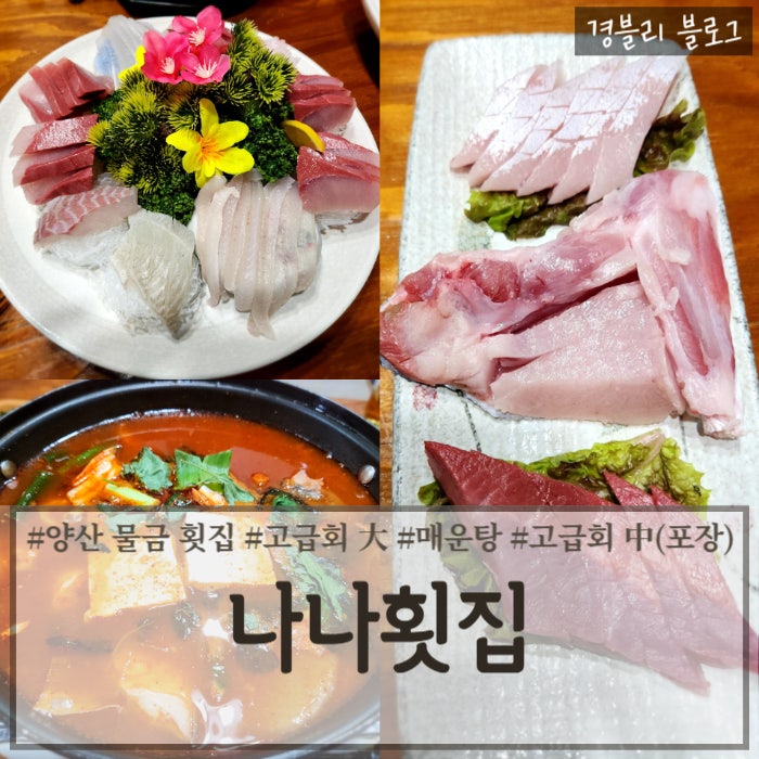  양산 물금 횟집 추천 룸있는 횟집 고급회 후기 '나나횟집'