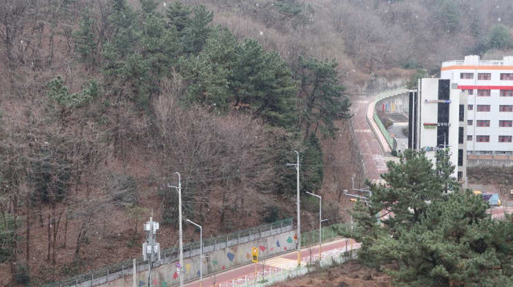  21년 만에 부산을 덮친 화이트크리스마스이브