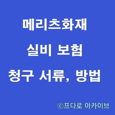  메리츠화재 실비 보험 청구 서류 및 방법 간단 정리