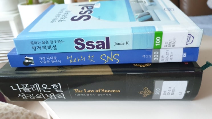  원하는 삶을 창조하는 영적 리허설 : 마음이 힘들 때 읽은 책